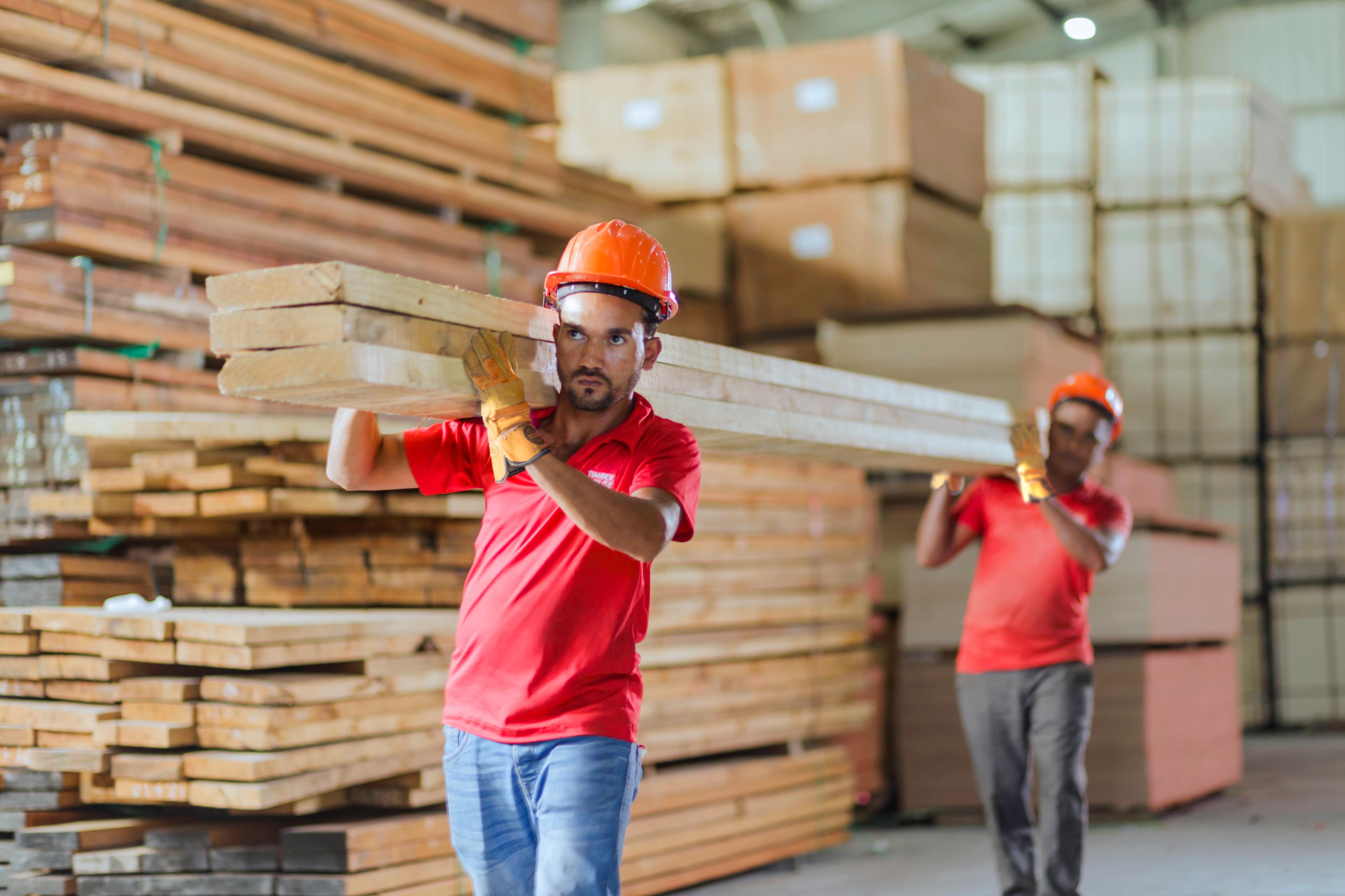 Timber House (1).jpg